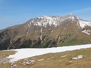 Al Rifugio Capanna 2000 ad anello: neve in scioglimento, fiori in crescita ! 30apr24- FOTOGALLERY